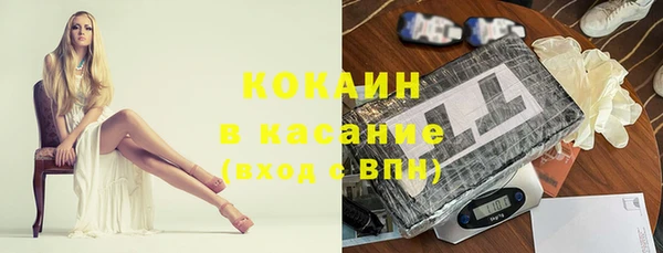 сатива Верхний Тагил