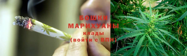 сатива Верхний Тагил