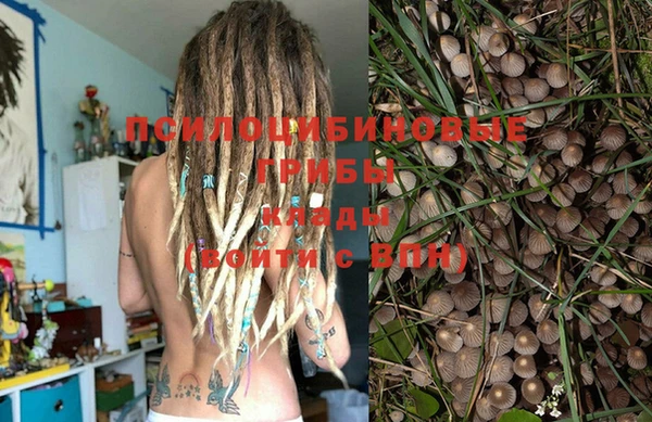 PSILOCYBIN Верхнеуральск