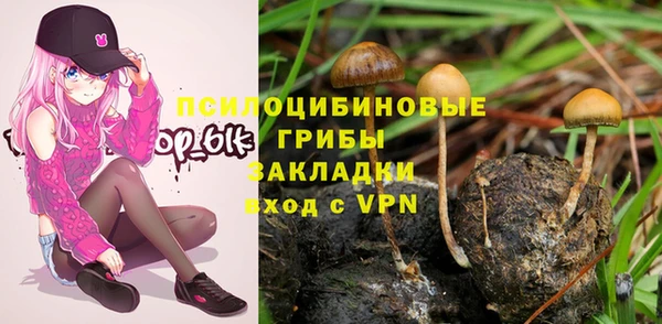 каннабис Верея