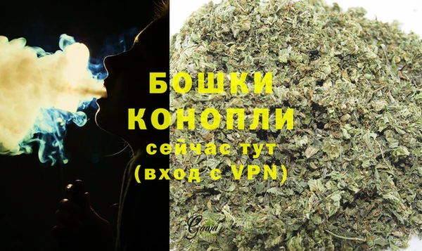 сатива Верхний Тагил