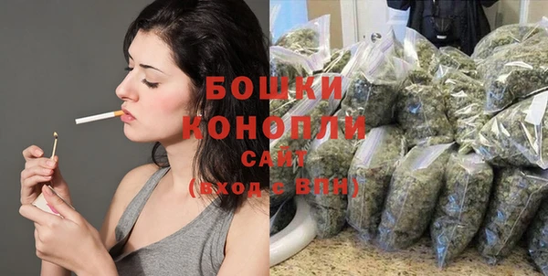 сатива Верхний Тагил